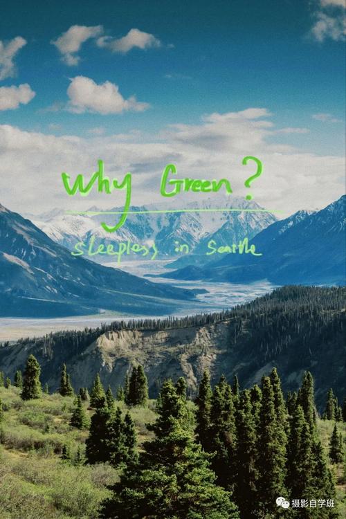 照片水印是什么意思?