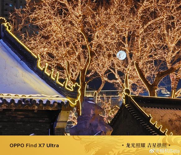 手机相机照片水印是什么意思