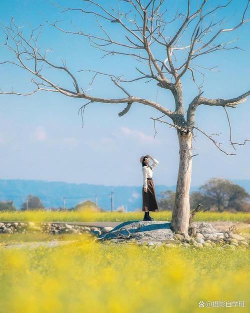 几个摄影技巧,留住生活的美