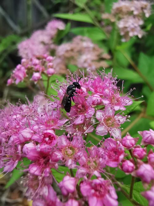 华为p30拍照技巧教程