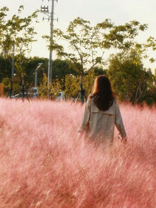 5个逛街拍照赚钱平台,一天小200+,正规无门槛,有手就能做..._百度知...