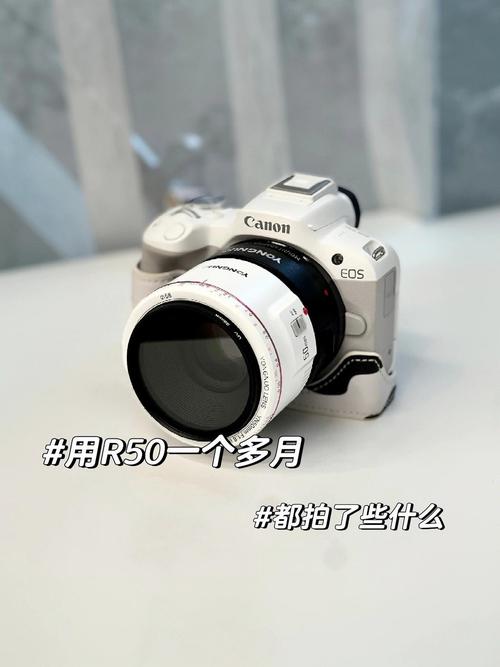 手机照相和单反的区别是什么