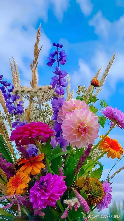 手机怎样才能拍出唯美,梦幻缥缈的花朵来?