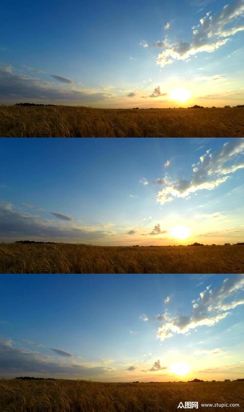 高清视频素材网站