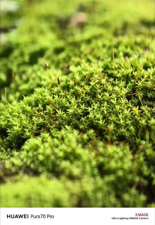 这种拍摄的背景是用什么取得