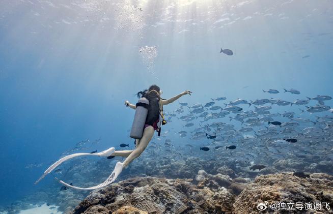 水下高速摄影那家好?