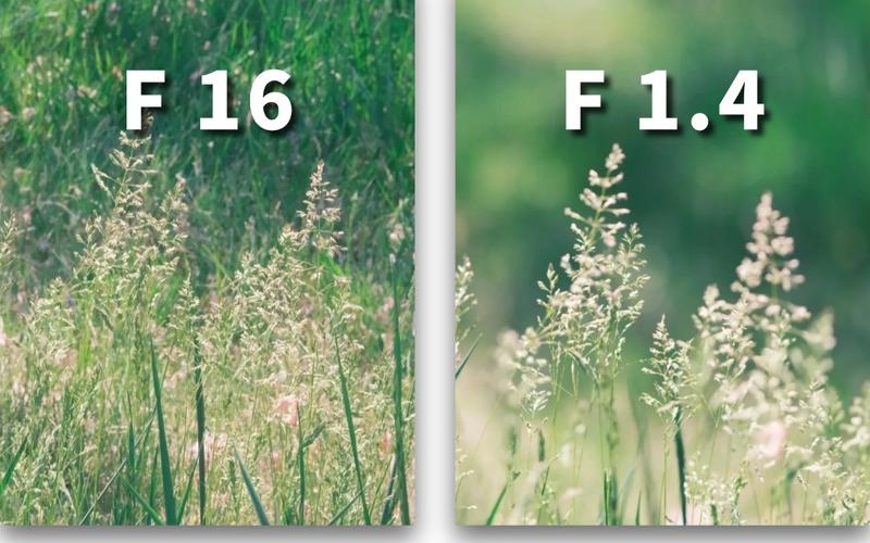 如何把多张照片做成一个视频?