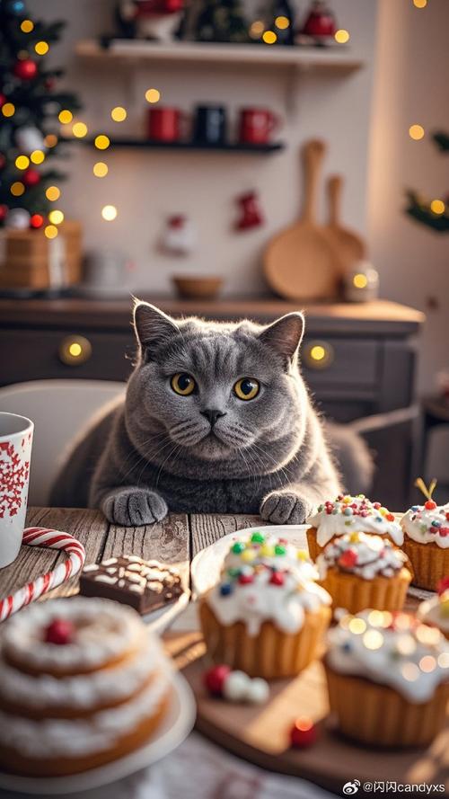 超简单的美食摄影技术速成