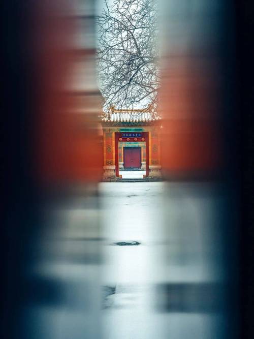 为什么有人说在故宫不能随便拍照?