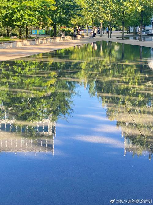 拍照效果最好的手机排行