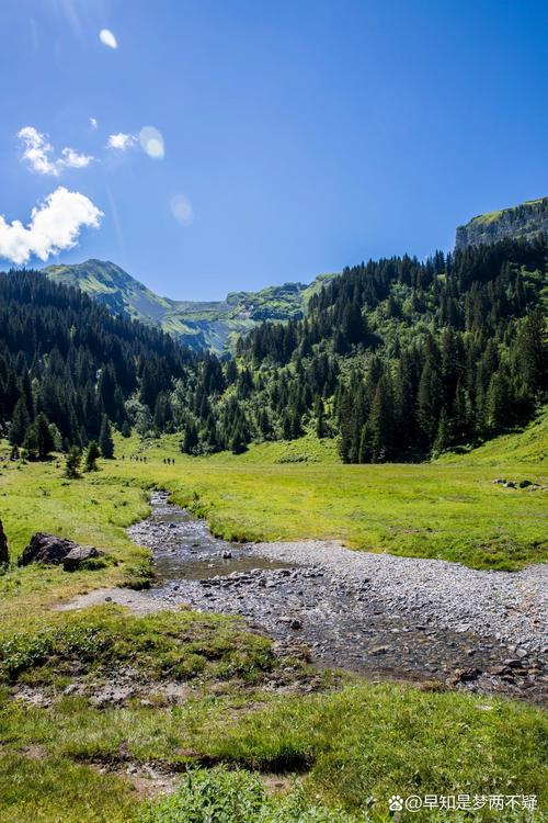 哪款手机拍照最清晰自然真实