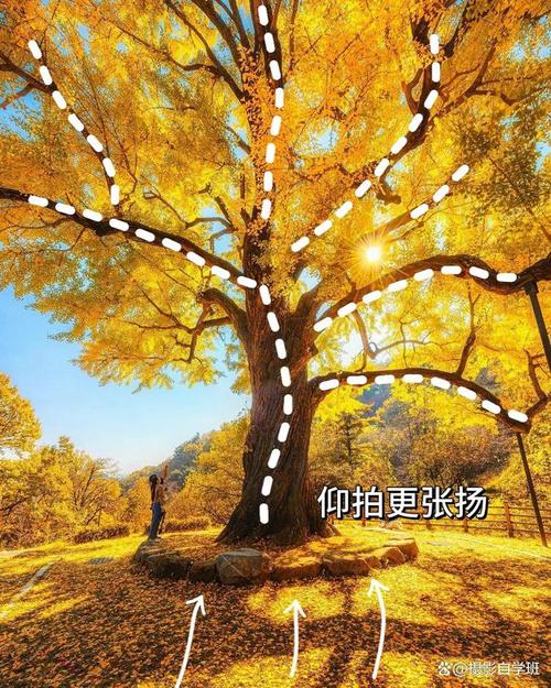 如何使自己的手机摄影作品脱颖而出?