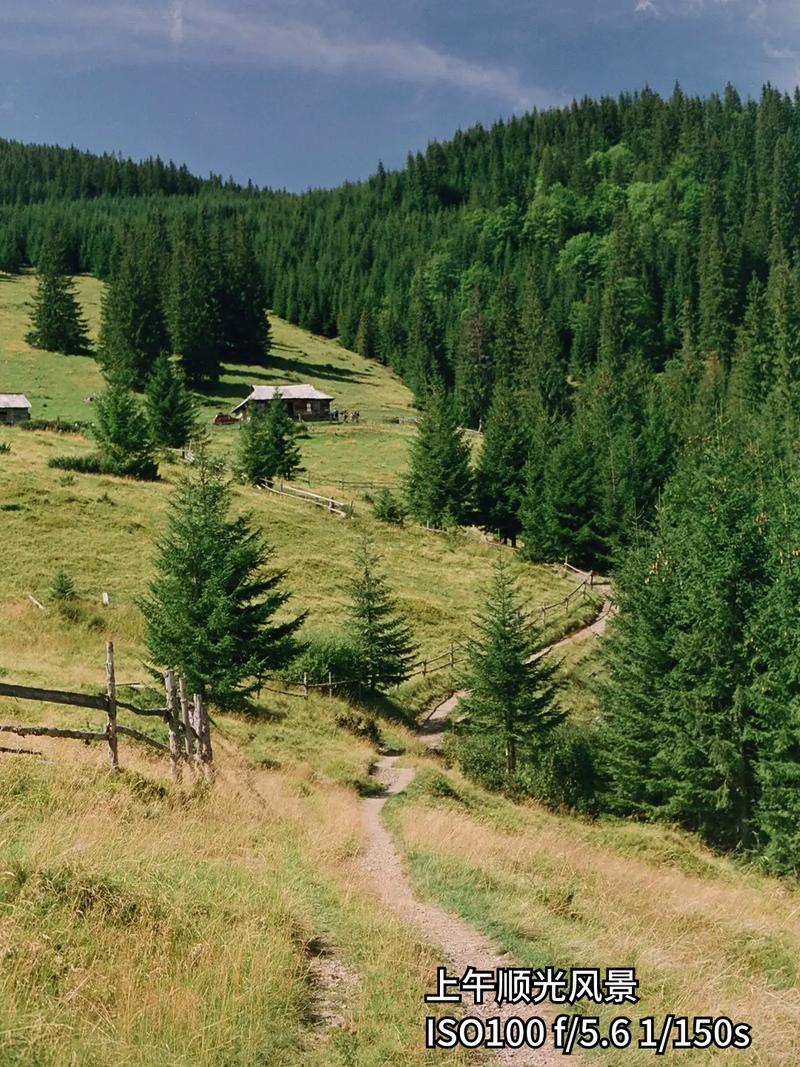 什么相机拍的照片有时间地点水印显示?