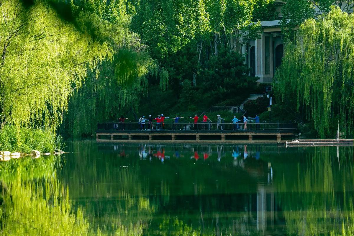 免费壁纸软件哪个好用