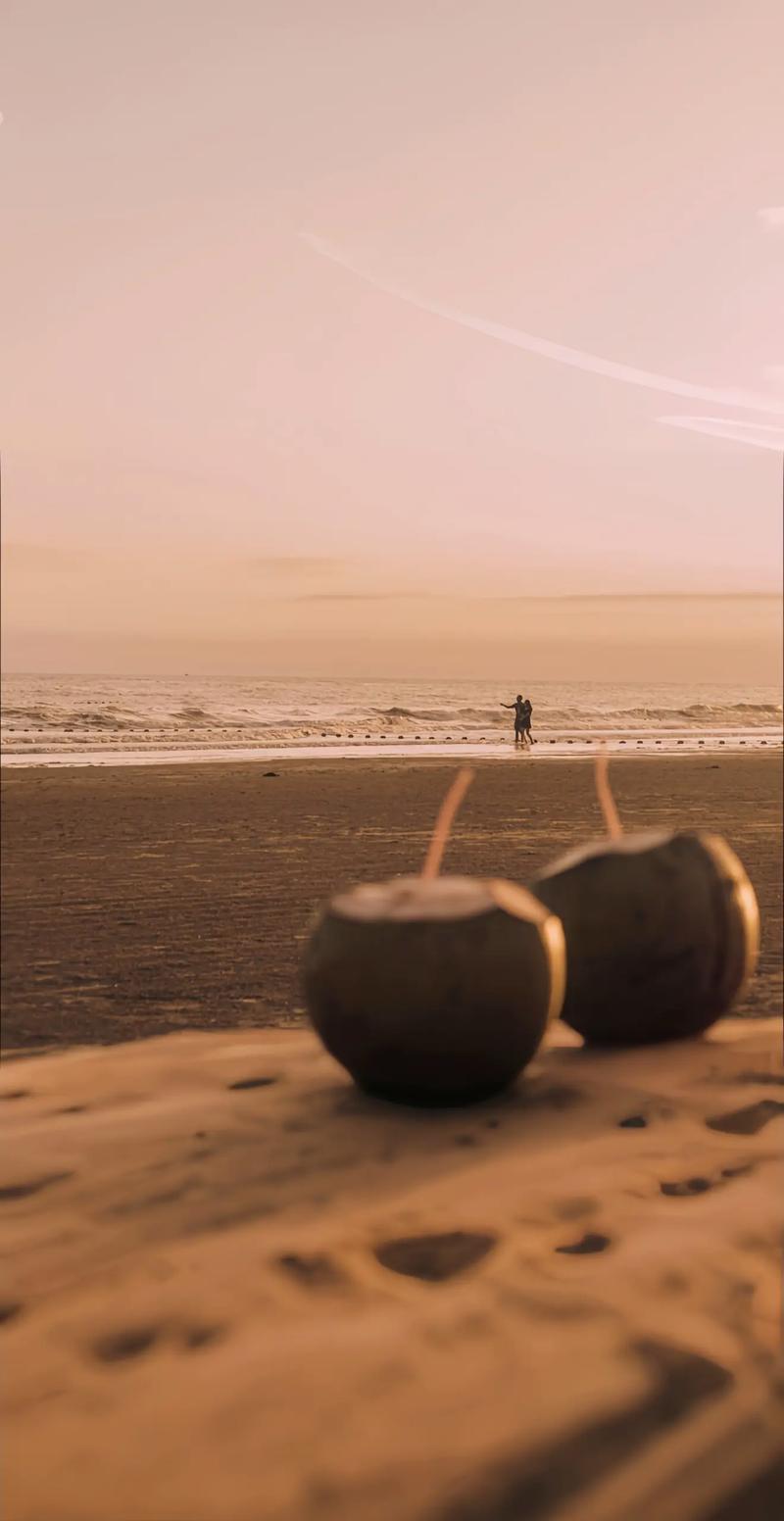 什么手机拍照效果最好