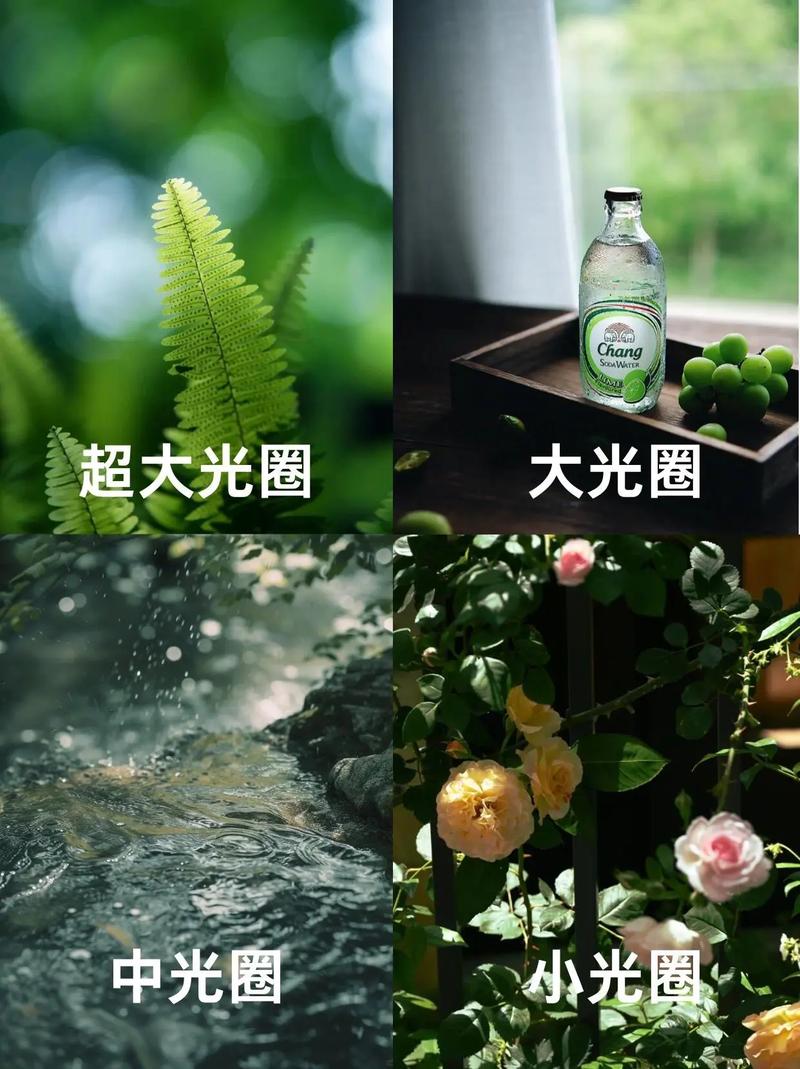 风光摄影光圈设置技巧