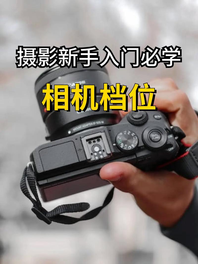 单反p档拍照技巧