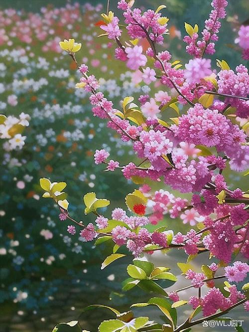 有什么办法能把照片拍得如同手机壁纸?