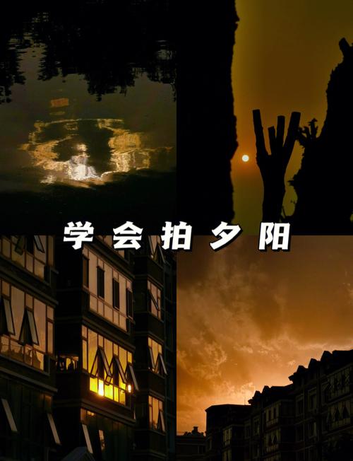 如何巧用手机拍出好照片?