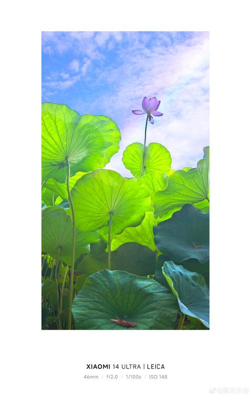 三千左右拍照性能好的手机