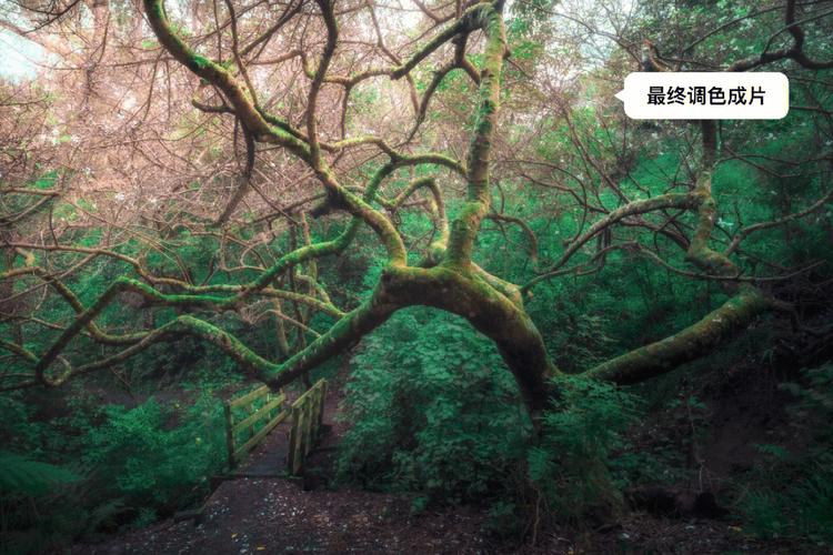 摄影师后期用ps还是lr呢