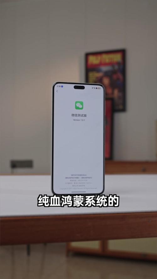 华为鸿蒙系统如何默认别的水印相机拍照