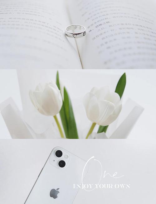 纯色紫色背景图片拍照打光图1