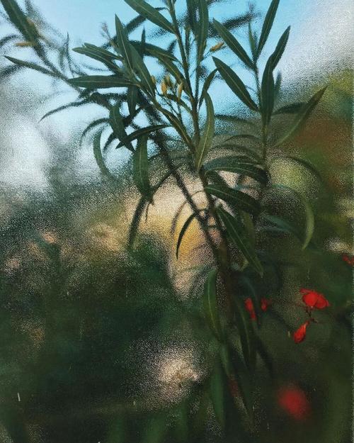 手机照片怎么去掉时间呢