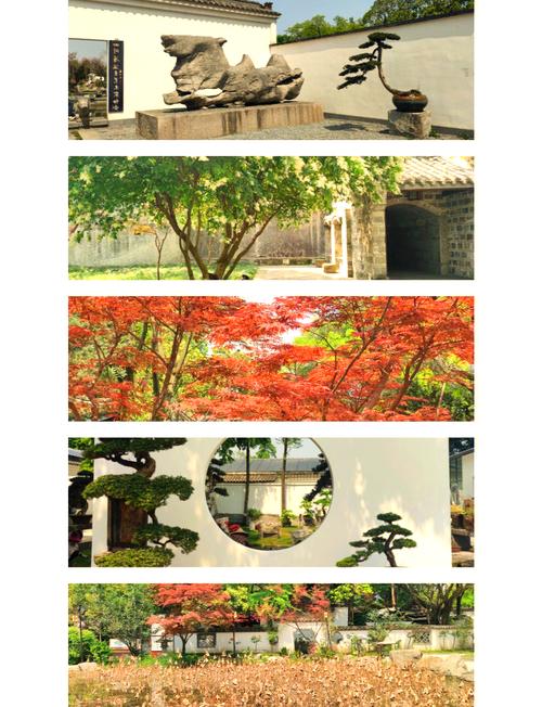 摄影补光,要那个方位才能拍摄的好