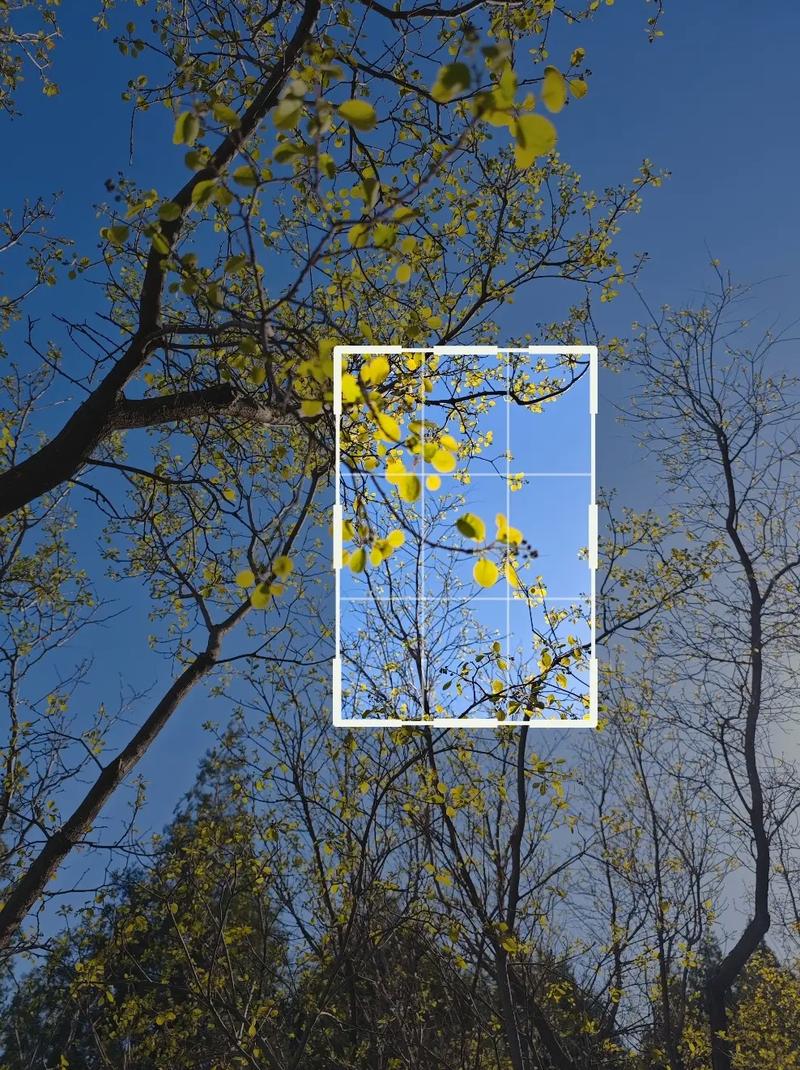 手机摄影10个相关的拍摄技巧