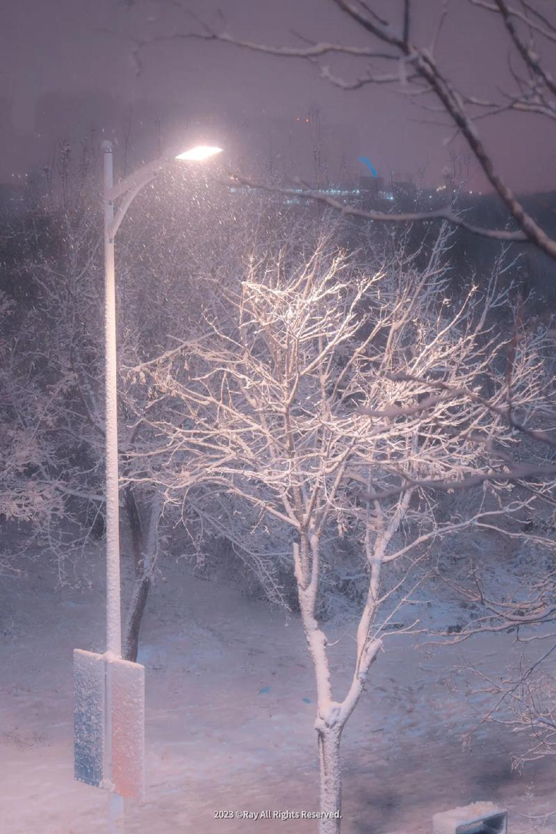 手机拍照为什么会有光点