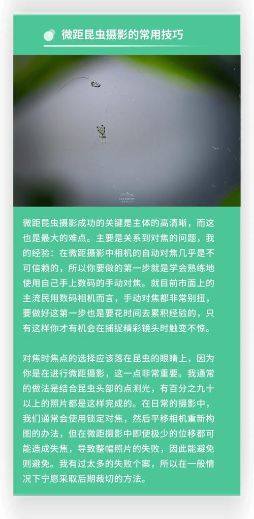 微距摄影补光技巧