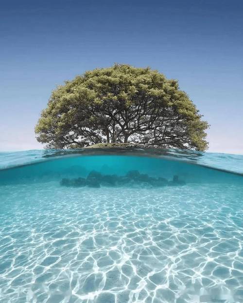 世界十大顶级摄影作品