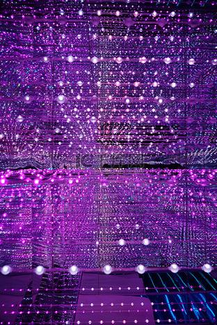 紫色灯光有哪些