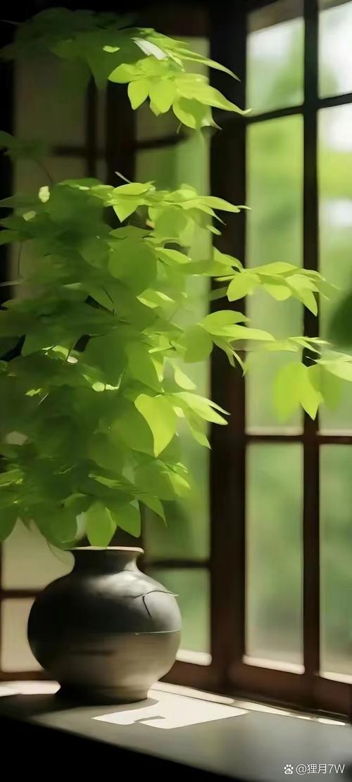 求绿色背景图高清资源~跪求!谢谢!!