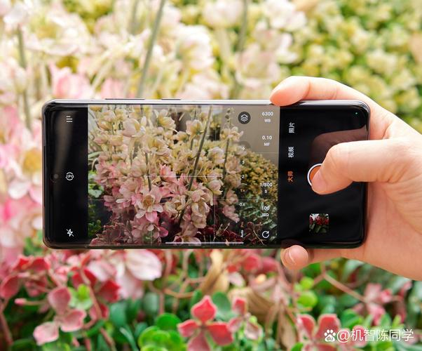 照相最好的手机排行榜