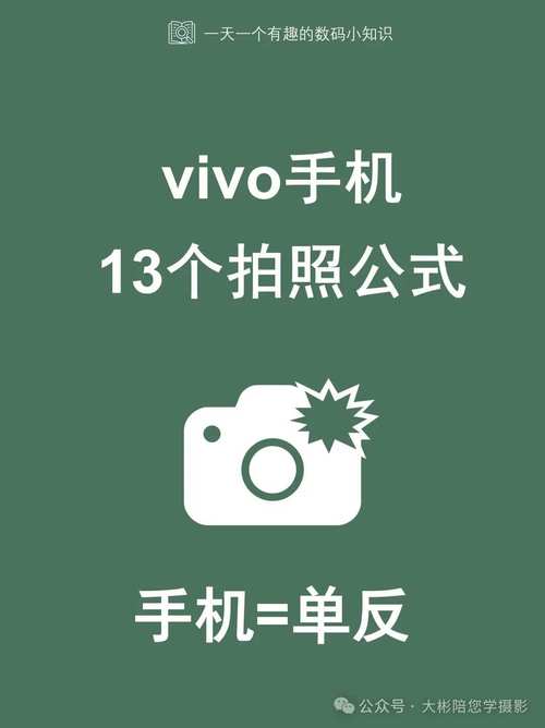 照相好的手机有哪些