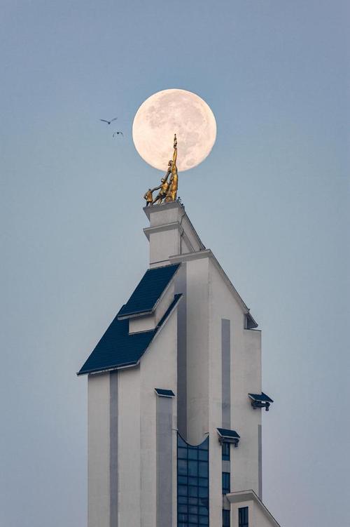 照相最好的手机排行榜2023