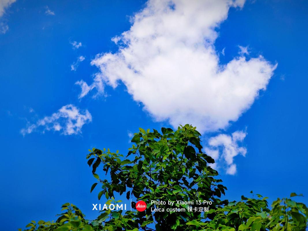 手机拍照带经纬度的是什么相机图2