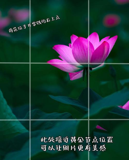 如何改照片上的水印时间图2