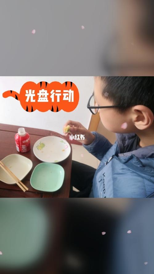 光盘行动是什么