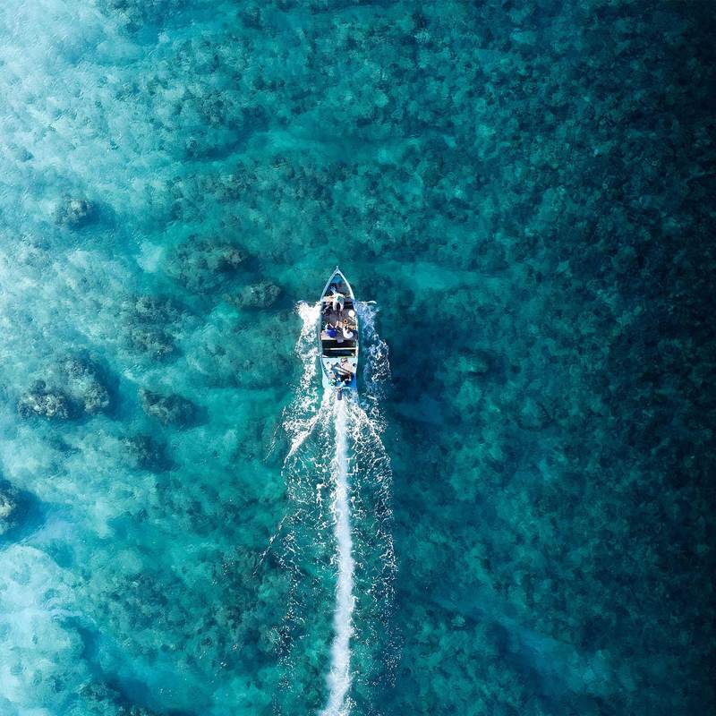 角度不同的图片图1