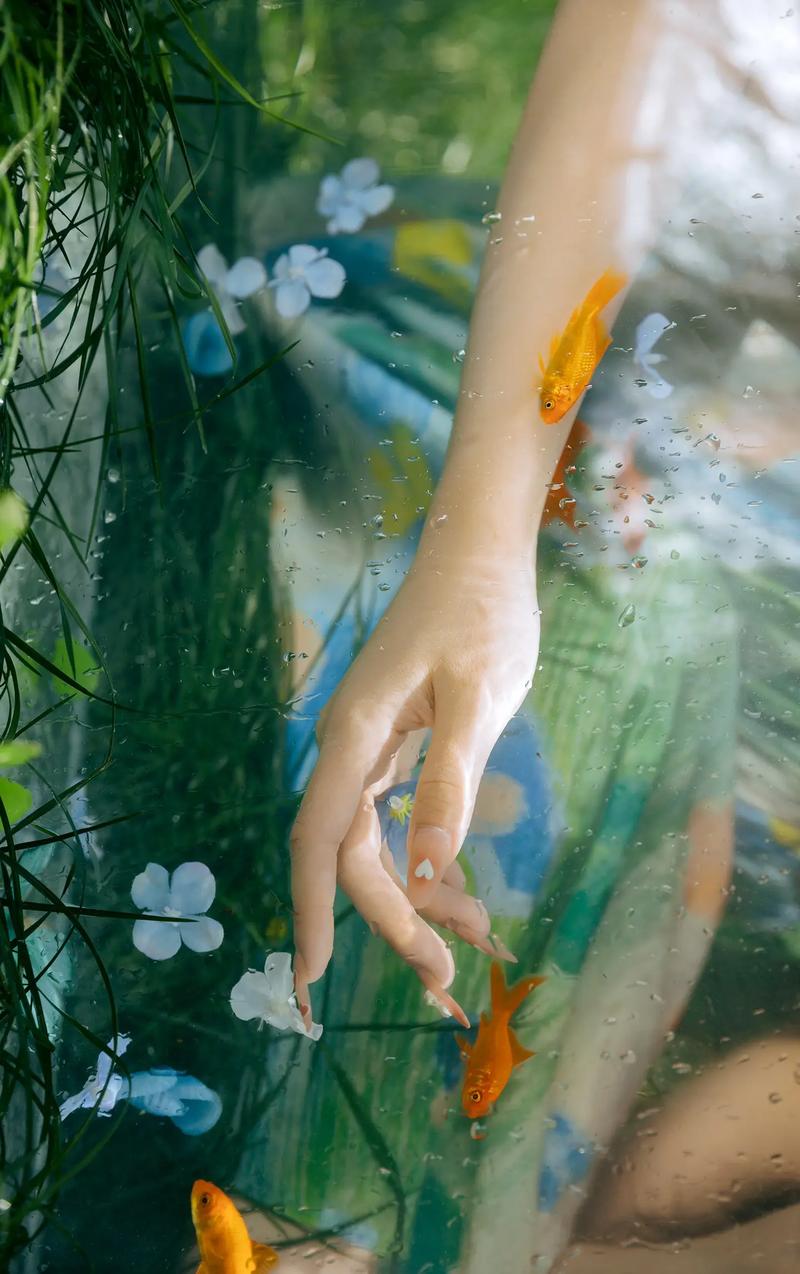 角度不同的图片图3