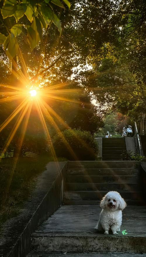 华为手机拍照的6个技巧视频图2