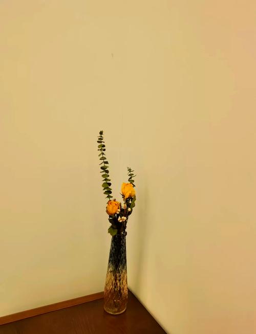 华为手机拍照的6个技巧视频图3