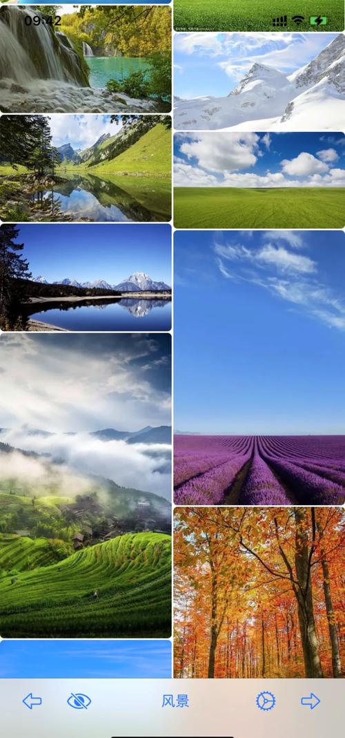 windows照相软件图3