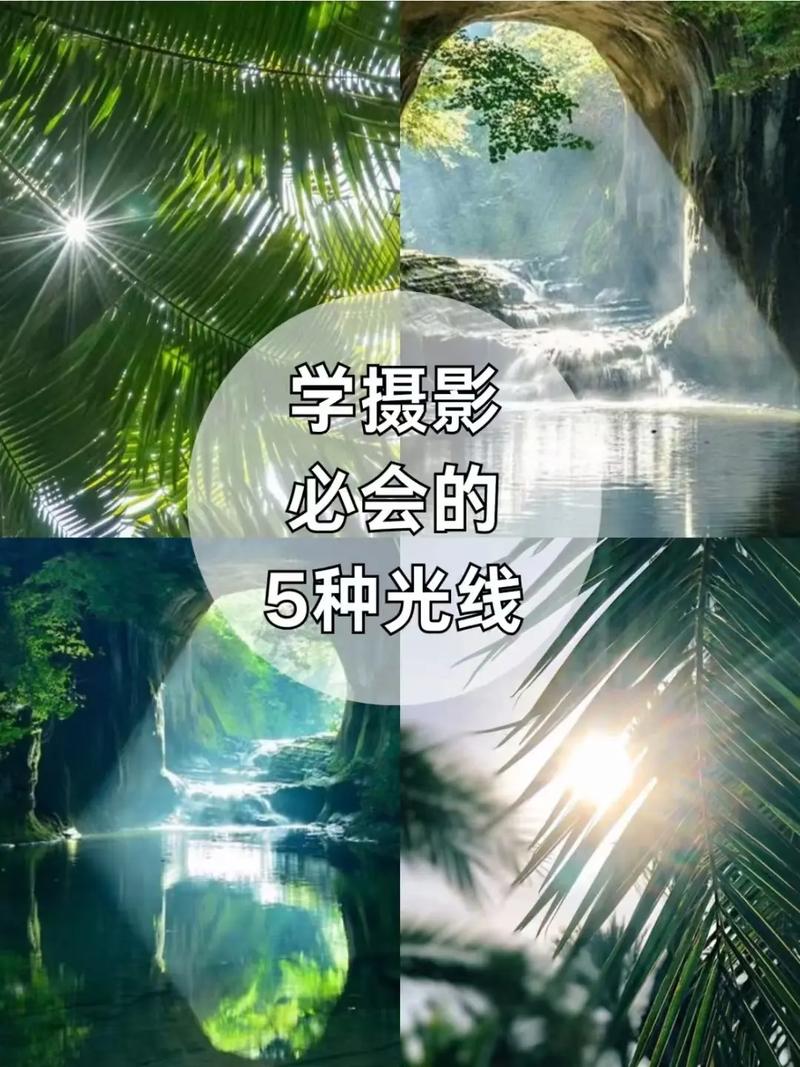 红叶拍照姿势大全图片视频图1