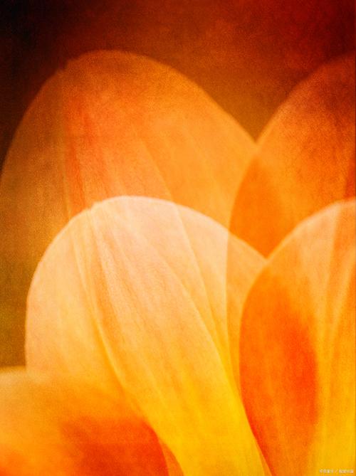 纯色拍照打光图片暖色还是冷色图2