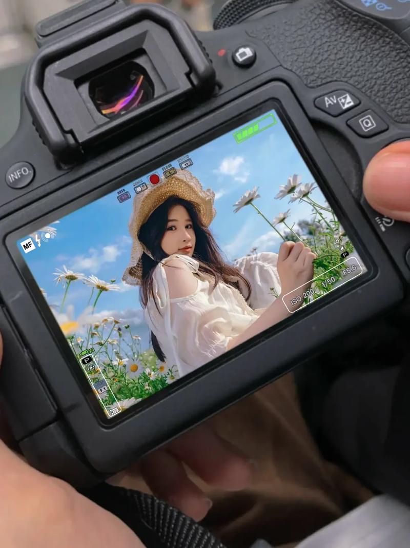 拍照打光图片纯色怎么弄好看一点图3