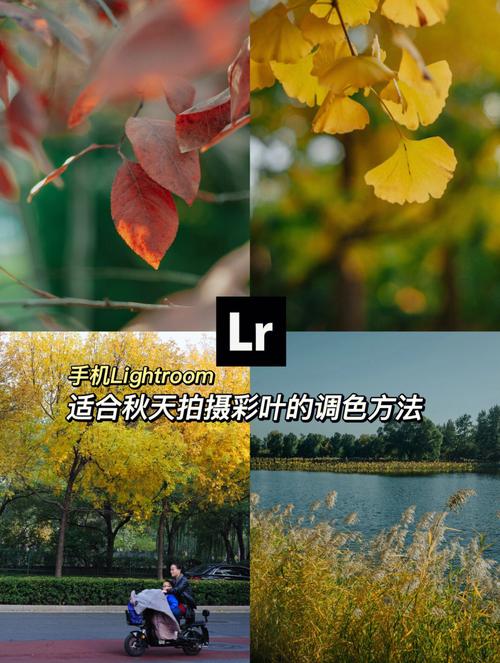 手机拍产品图片的技巧